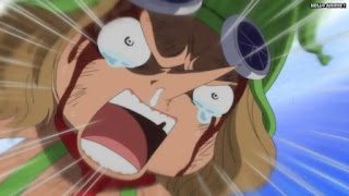 ワンピースアニメ ドレスローザ編 674話 レオ 小人族 Dwarves トンタッタ Tontatta | ONE PIECE Episode 674