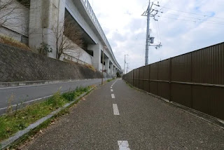 ザリザリの道