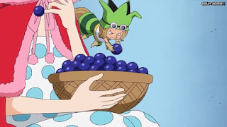 ワンピースアニメ ドレスローザ編 671話 グレープ レオ | ONE PIECE Episode 671