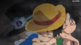 ワンピースアニメ 497話 幼少期 エース サボ ルフィ ACE LUFFY SABO | ONE PIECE Episode 497 ASL