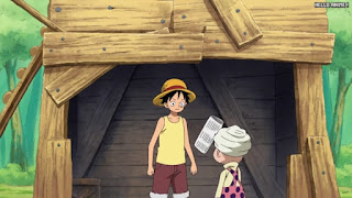 ワンピースアニメ 504話 ルフィ Monkey D. Luffy | ONE PIECE Episode 504