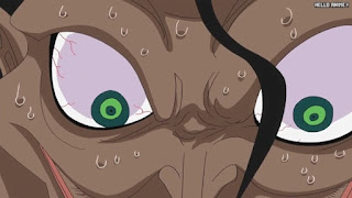 ワンピースアニメ 魚人島編 572話 カリブー | ONE PIECE Episode 572