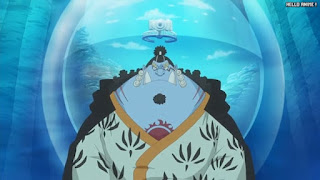 ワンピースアニメ 魚人島編 572話 ジンベエ | ONE PIECE Episode 572