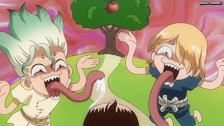 ドクターストーンアニメ 1期13話 石神千空 銀狼 かわいい Dr. STONE Episode 13