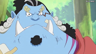 ワンピースアニメ 504話 ジンベエ | ONE PIECE Episode 504