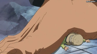 ワンピースアニメ ドレスローザ編 674話 | ONE PIECE Episode 674