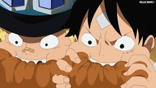 ワンピースアニメ 497話 ルフィ サボ 幼少期 | ONE PIECE Episode 497 ASL