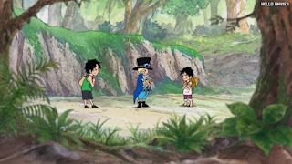 ワンピースアニメ 497話 幼少期 エース サボ ルフィ ACE LUFFY SABO | ONE PIECE Episode 497 ASL