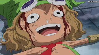 ワンピースアニメ ドレスローザ編 674話 レオ | ONE PIECE Episode 674