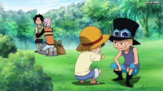 ワンピースアニメ 497話 幼少期 エース サボ ルフィ ACE LUFFY SABO | ONE PIECE Episode 497 ASL