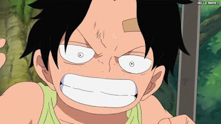 ワンピースアニメ 504話 エース 幼少期 | ONE PIECE Episode 504 ASL