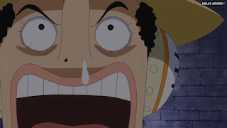 ワンピースアニメ ドレスローザ編 671話 ウソランド | ONE PIECE Episode 671