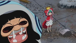 ワンピースアニメ ドレスローザ編 674話 トレーボル | ONE PIECE Episode 674