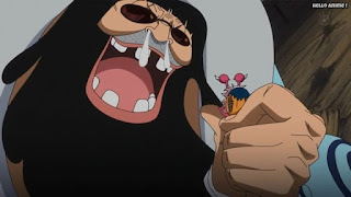 ワンピースアニメ ドレスローザ編 674話 トレーボル | ONE PIECE Episode 674