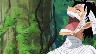 ワンピースアニメ 504話 ルフィ Monkey D. Luffy | ONE PIECE Episode 504