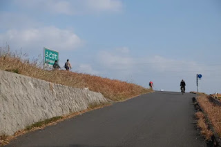 淀川沿いの道に入る