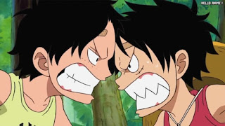 ワンピースアニメ 504話 幼少期 エース ルフィ かわいい ACE LUFFY | ONE PIECE Episode 504 ASL