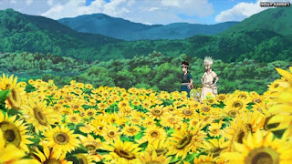 ドクターストーンアニメ 1期11話 Dr. STONE Episode 11