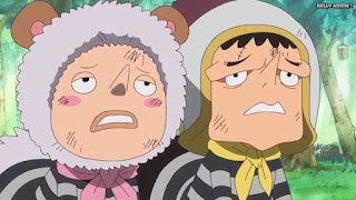 ワンピースアニメ ドレスローザ編 671話 小人族 奴隷 Dwarves トンタッタ Tontatta | ONE PIECE Episode 671