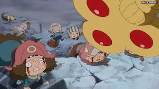 ワンピースアニメ ドレスローザ編 674話 小人族 Dwarves トンタッタ Tontatta | ONE PIECE Episode 674