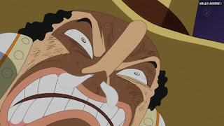 ワンピースアニメ ドレスローザ編 674話 | ONE PIECE Episode 674