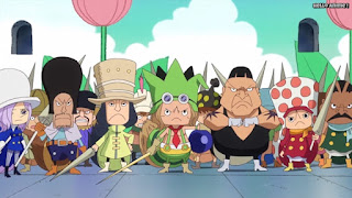 ワンピースアニメ ドレスローザ編 671話 小人族 Dwarves トンタッタ Tontatta | ONE PIECE Episode 671