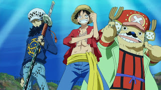 ワンピースアニメ トラファルガー・ロー ルフィ 海賊同盟男 Trafalgar Law ONE PIECE