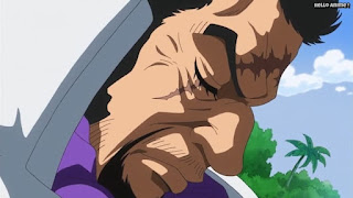 ワンピースアニメ ドレスローザ編 642話 海軍大将 藤虎 イッショウ Fujitora | ONE PIECE Episode 642