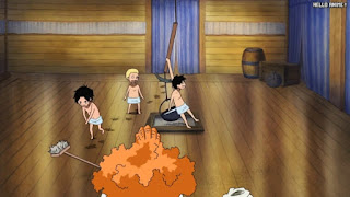 ワンピースアニメ 497話 幼少期 エース サボ ルフィ ACE LUFFY SABO | ONE PIECE Episode 497 ASL