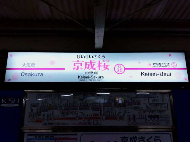 桜に染まるまち、佐倉2024　京成"桜"駅～佐倉から桜へ～