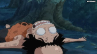 ワンピースアニメ 497話 エース 幼少期 | ONE PIECE Episode 497 ASL