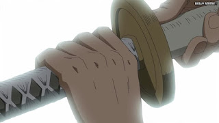 ワンピースアニメ ドレスローザ編 671話 | ONE PIECE Episode 671