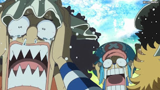 ワンピースアニメ 魚人島編 572話 ウソップ チョッパー | ONE PIECE Episode 572