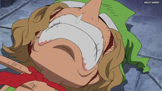 ワンピースアニメ ドレスローザ編 674話 レオ | ONE PIECE Episode 674