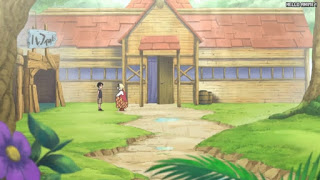 ワンピースアニメ 504話 幼少期 | ONE PIECE Episode 504 ASL