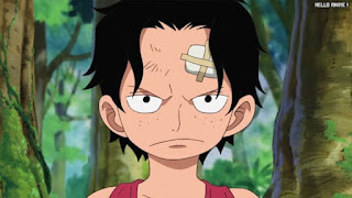 ワンピースアニメ 504話 エース 幼少期 | ONE PIECE Episode 504 ASL