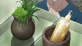 ドクターストーンアニメ 1期13話 Dr. STONE Episode 13