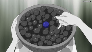 ワンピースアニメ ドレスローザ編 671話 グレープ | ONE PIECE Episode 671