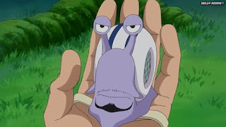 ワンピースアニメ ドレスローザ編 642話 電伝虫 | ONE PIECE Episode 642