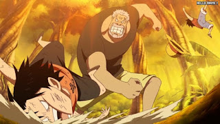 ワンピースアニメ 504話 ガープ エース ルフィ  幼少期 | ONE PIECE Episode 504 ASL