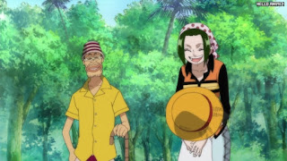 ワンピースアニメ 497話 マキノ スラップ | ONE PIECE Episode 497 ASL