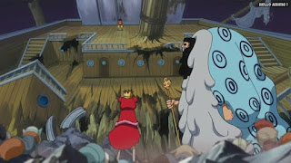 ワンピースアニメ ドレスローザ編 674話 小人族 Dwarves トンタッタ Tontatta | ONE PIECE Episode 674