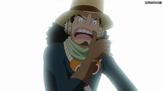 ワンピースアニメ ドレスローザ編 674話 ウソランド ウソップ | ONE PIECE Episode 674