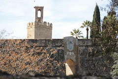 Petición de apertura de la Puerta de Mérida.  Rehabilitación del foso