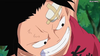 ワンピースアニメ 504話 エース 幼少期 | ONE PIECE Episode 504 ASL