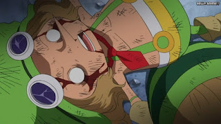 ワンピースアニメ ドレスローザ編 674話 レオ | ONE PIECE Episode 674