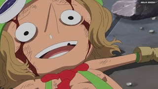 ワンピースアニメ ドレスローザ編 674話 レオ | ONE PIECE Episode 674