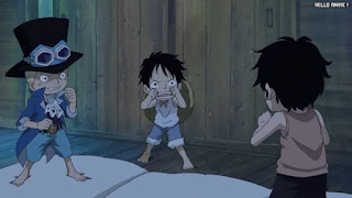 ワンピースアニメ 497話 幼少期 エース サボ ルフィ ACE LUFFY SABO | ONE PIECE Episode 497 ASL