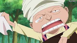 ワンピースアニメ 504話 ドグラ | ONE PIECE Episode 504