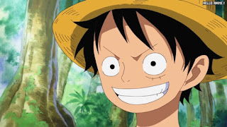 ワンピースアニメ 504話 ルフィ Monkey D. Luffy | ONE PIECE Episode 504